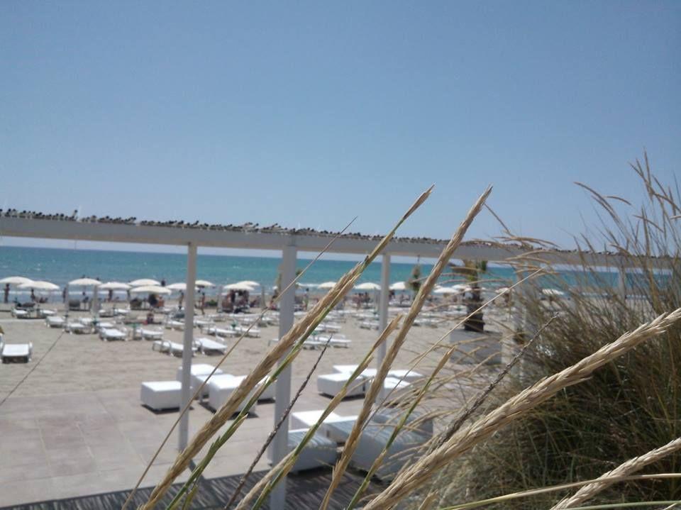 Agrumare Farm Holiday Marina Di Pisticci Exterior photo